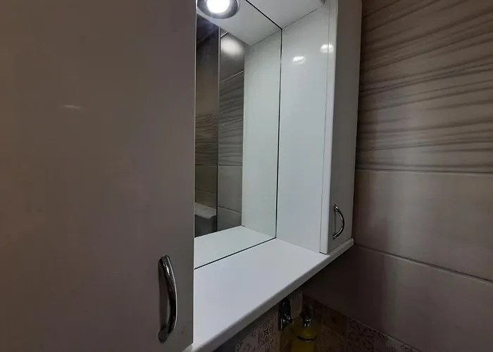 Two Kings نوفي ساد