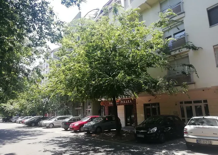 Two Kings نوفي ساد