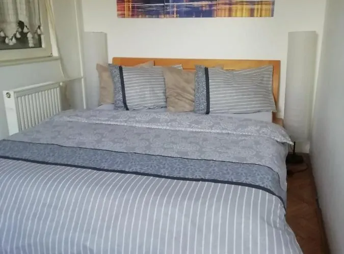 Two Kings * نوفي ساد